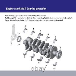 ACL Race 5M2152H-020 Main Bearing for Ford Escort Cortina 1.5 1.6 OHV Twin Cam