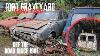 Barn Find Ford Escort Very Rare Ford Cortina Gt A Must Watch Imstokze