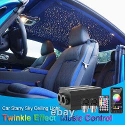 Car Dual Head Fiber Optic 12W Lights Smart RGBW Twinkle RF Remote Bluetooth APP