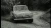 Ford Cortina Rally