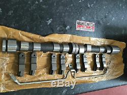 Ford Escort Cortina RS2000 Pinto Standard Camshaft Kit From Chillcast Cam Blanks